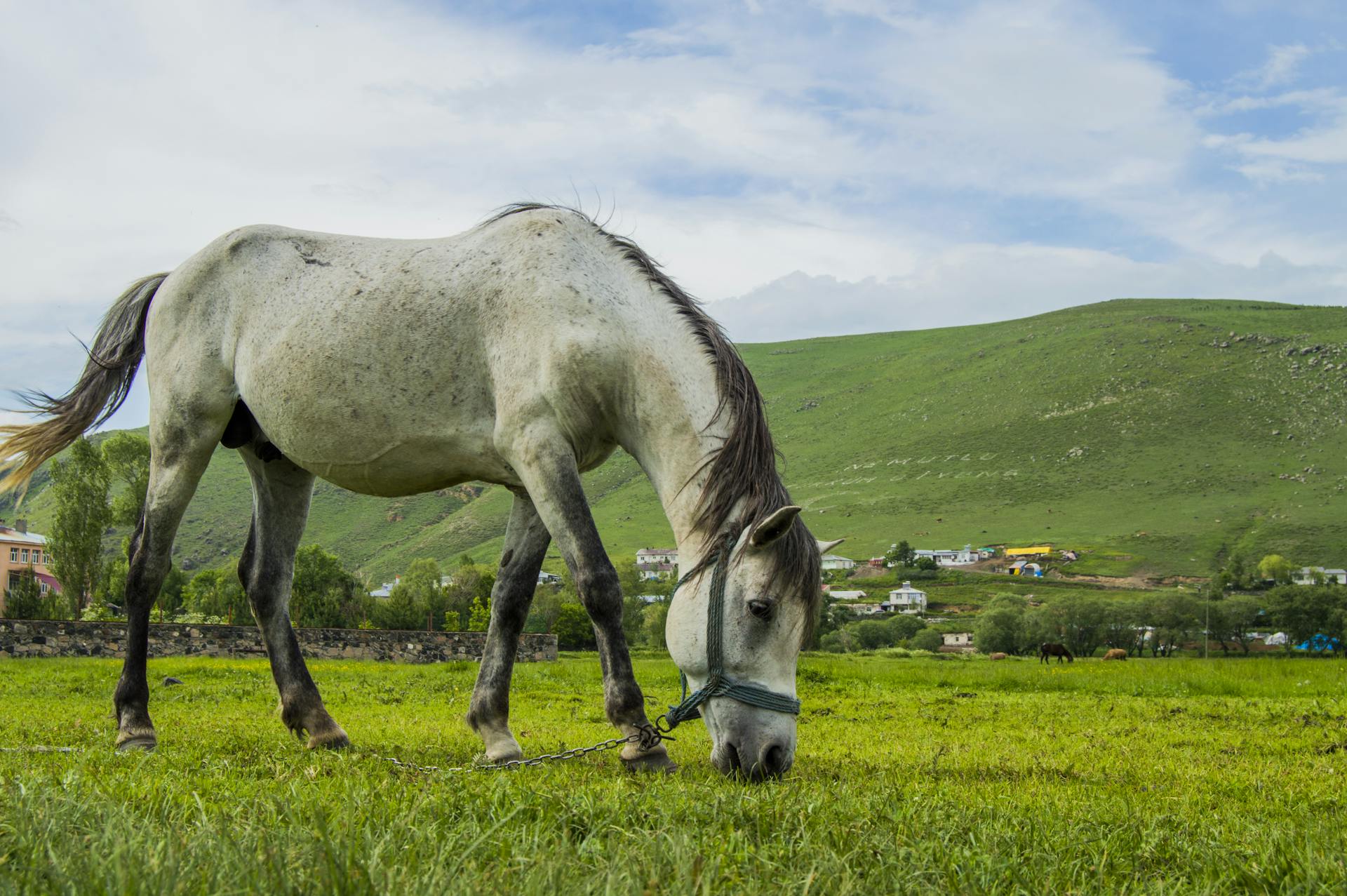 ardahani-kesfetmek-icin-10-muhtesem-sebep-tarih-doga-ve-sicak-misafirperverlik